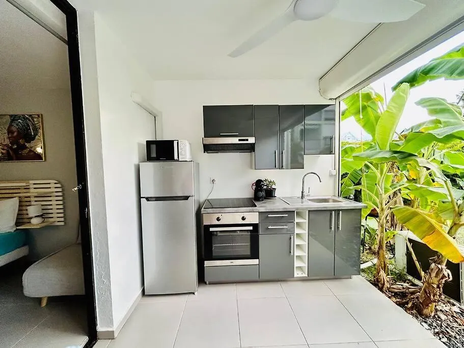 Apartment Studio Cosy Plage Et Piscine A Bas Du Fort Le Gosier  Guadeloupe