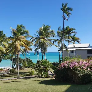 Grand De 41 M², Vue Et Jardin Tropical. Appartement